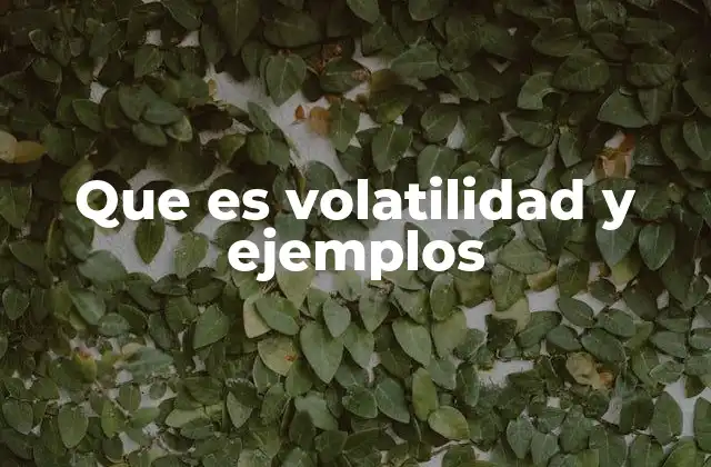 Que es Volatilidad y Ejemplos