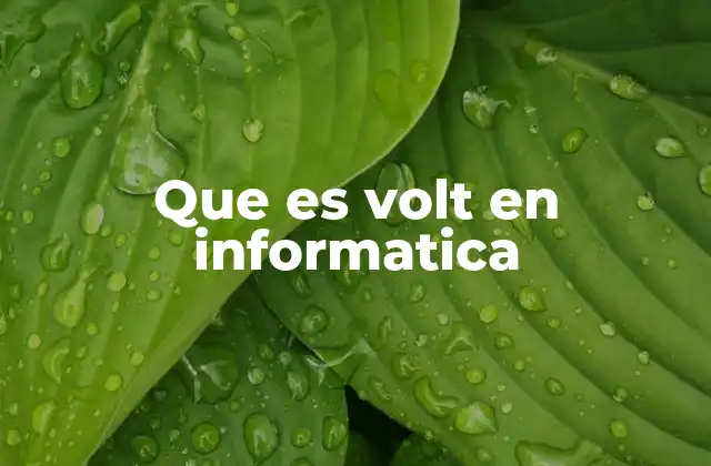 Que es Volt en Informatica