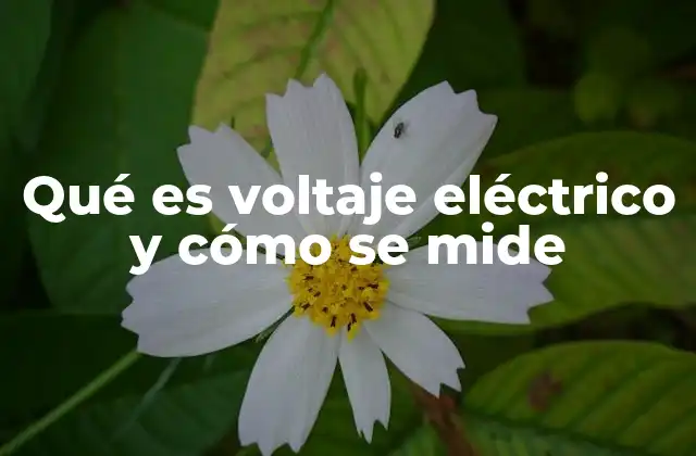 Qué es Voltaje Eléctrico y Cómo Se Mide