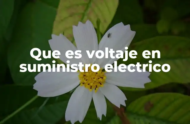 Que es Voltaje en Suministro Electrico