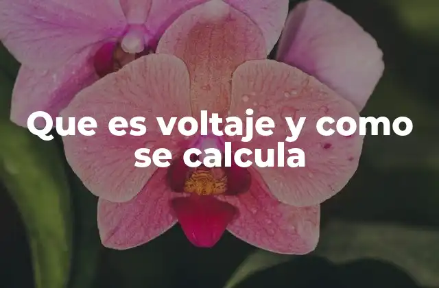 Que es Voltaje y como Se Calcula