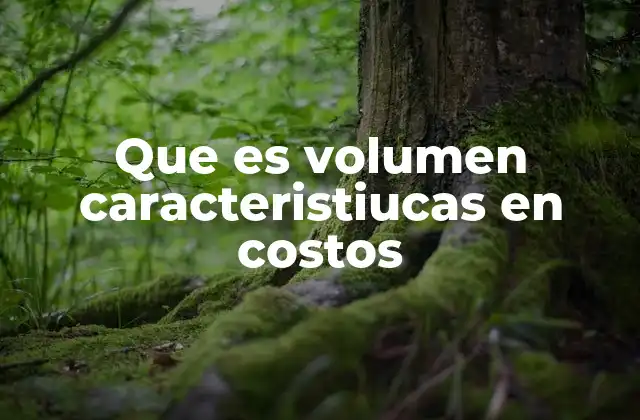 Que es Volumen Caracteristiucas en Costos
