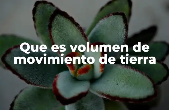 Que es Volumen de Movimiento de Tierra