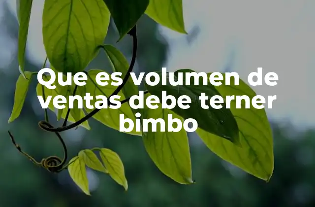 Que es Volumen de Ventas Debe Terner Bimbo