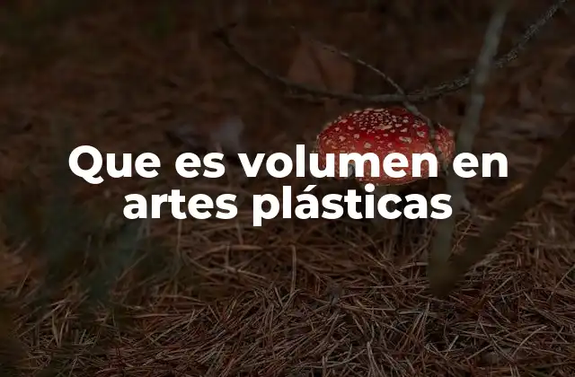 Que es Volumen en Artes Plásticas