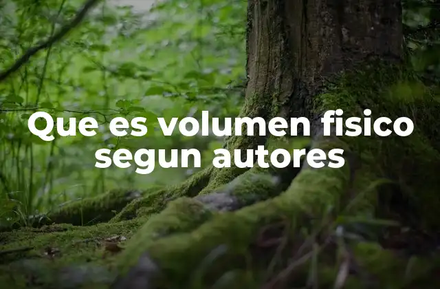 Que es Volumen Fisico Segun Autores