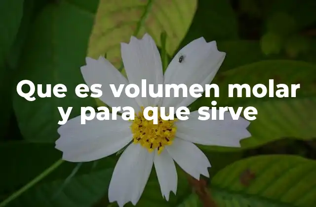El volumen molar como herramienta en la química moderna