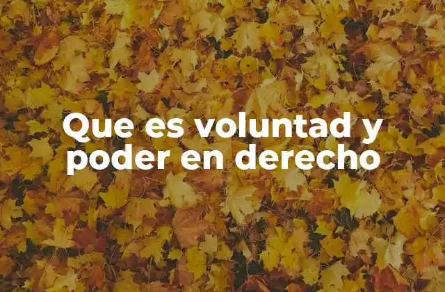 Que es Voluntad y Poder en Derecho