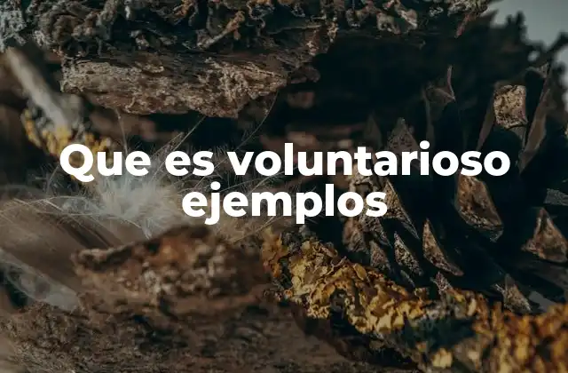Que es Voluntarioso Ejemplos