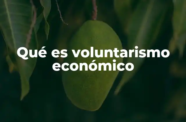 Qué es Voluntarismo Económico 2 El rol del voluntarismo en la economía comunitaria