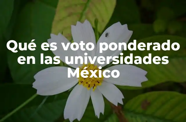 Qué es Voto Ponderado en las Universidades México