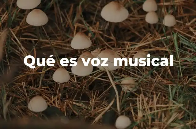 Qué es Voz Musical