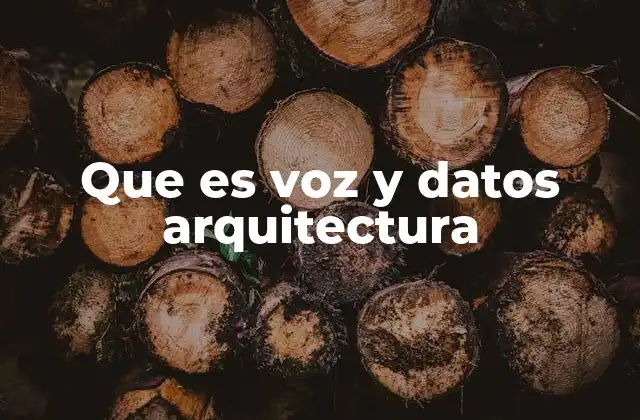 Que es Voz y Datos Arquitectura