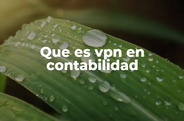 Que es Vpn en Contabilidad