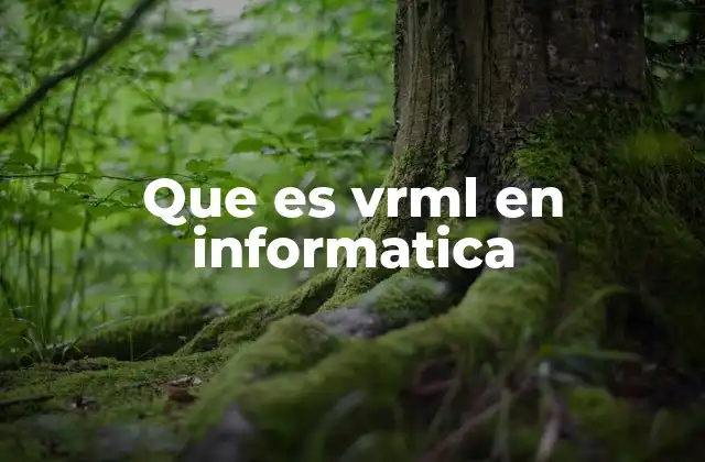 Que es Vrml en Informatica