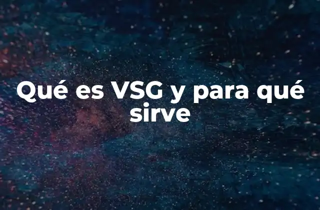 Qué es Vsg y para Qué Sirve