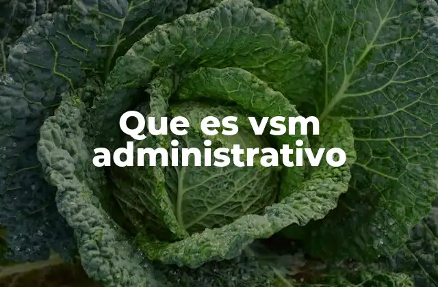 Que es Vsm Administrativo