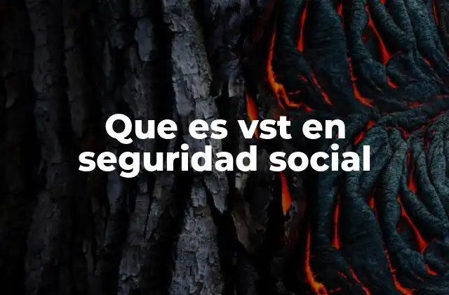 Que es Vst en Seguridad Social
