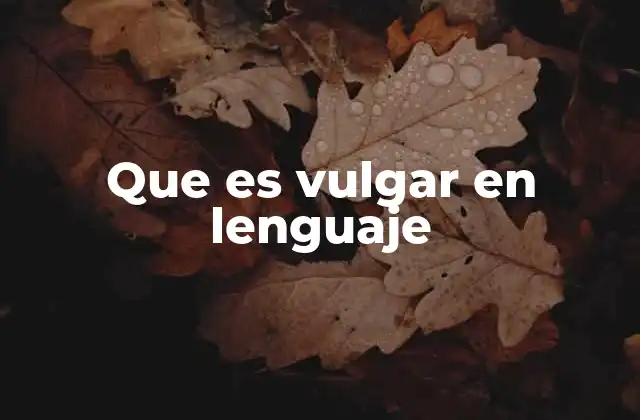 Que es Vulgar en Lenguaje
