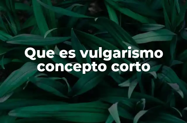 Que es Vulgarismo Concepto Corto