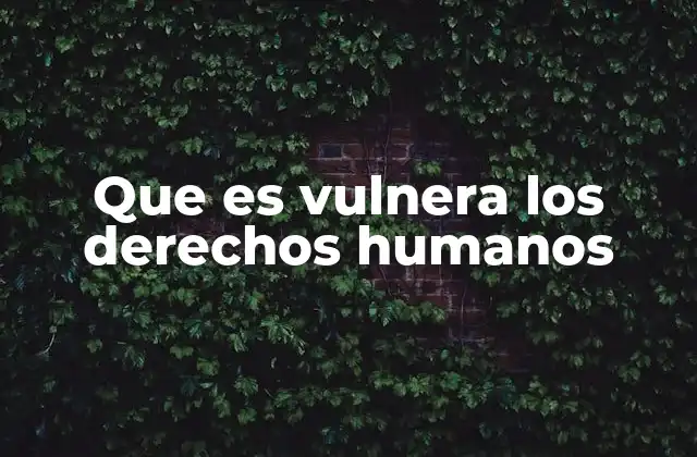 Que es Vulnera los Derechos Humanos