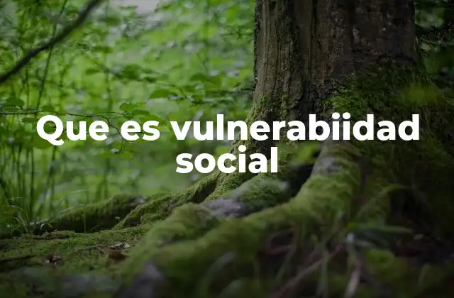 Que es Vulnerabiidad Social