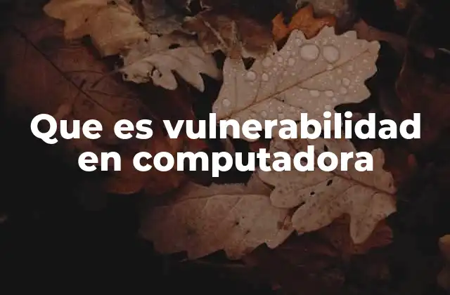 Que es Vulnerabilidad en Computadora