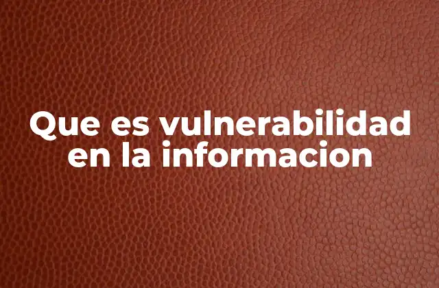 Que es Vulnerabilidad en la Informacion