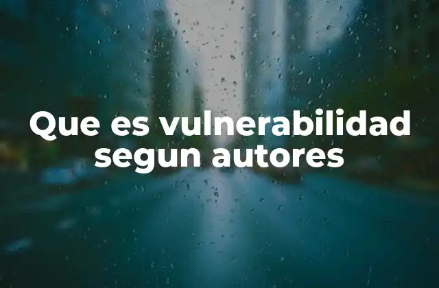 Que es Vulnerabilidad Segun Autores