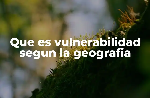 Que es Vulnerabilidad Segun la Geografia