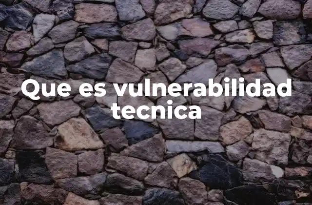 Tipos de vulnerabilidades técnicas