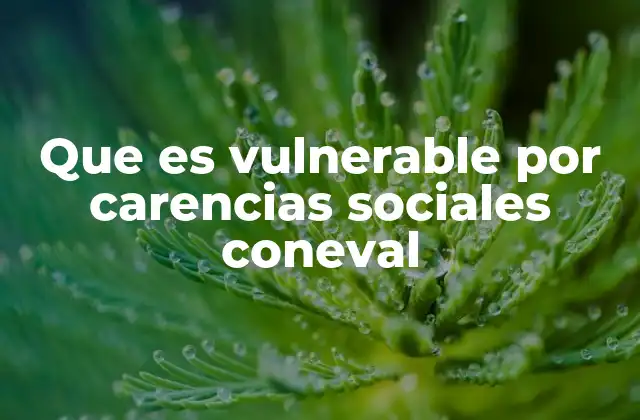 Que es Vulnerable por Carencias Sociales Coneval