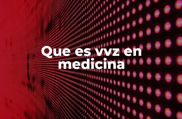 El papel del VVZ en la salud pública