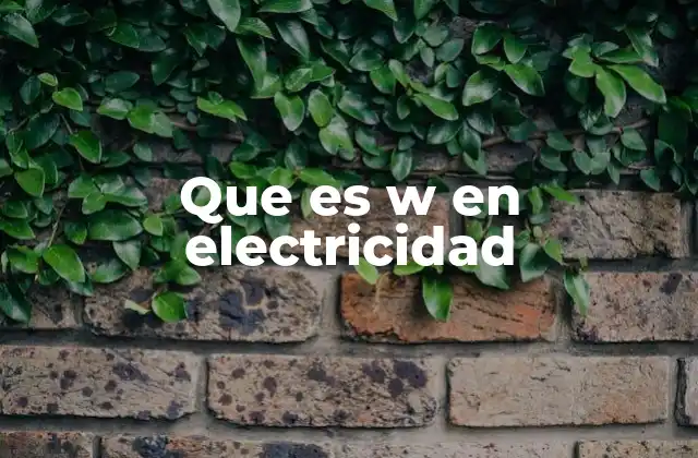 Que es W en Electricidad