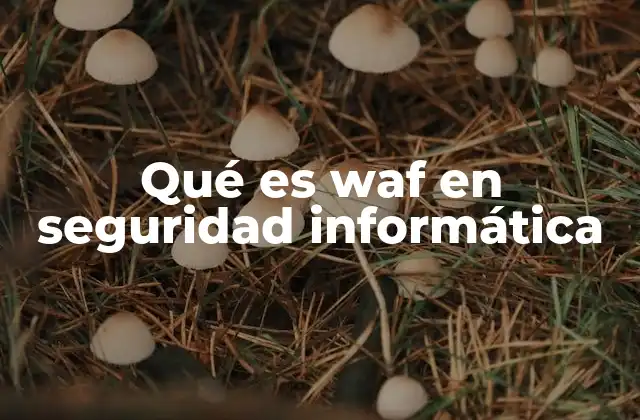Qué es Waf en Seguridad Informática