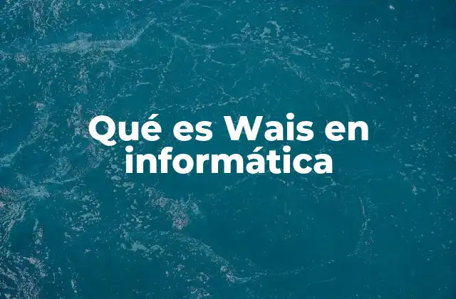 Qué es Wais en Informática