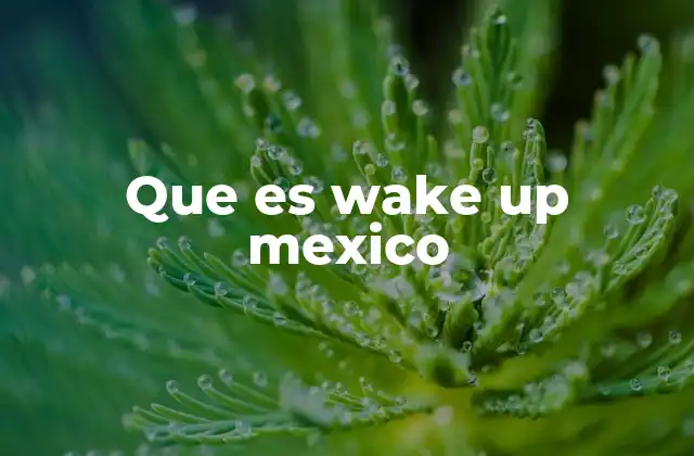 Que es Wake Up Mexico