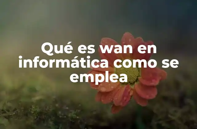 Qué es Wan en Informática como Se Emplea