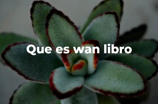 Que es Wan Libro