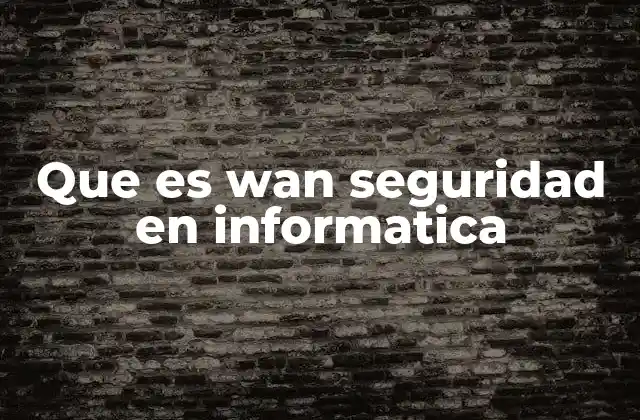 Que es Wan Seguridad en Informatica