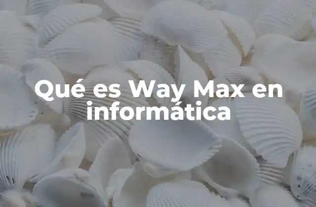 Qué es Way Max en Informática