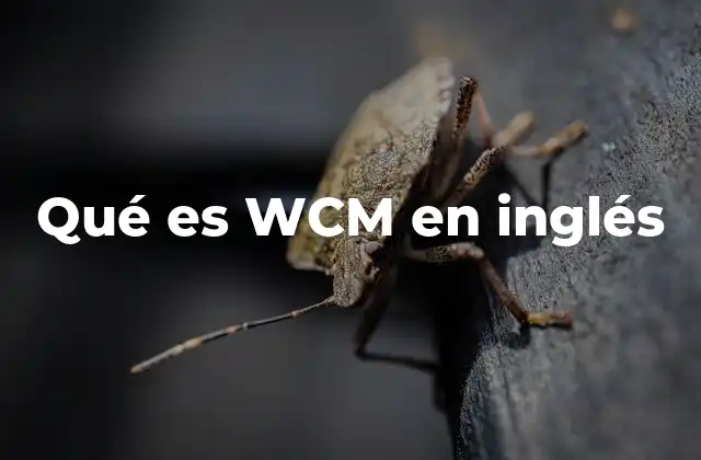 Qué es Wcm en Inglés