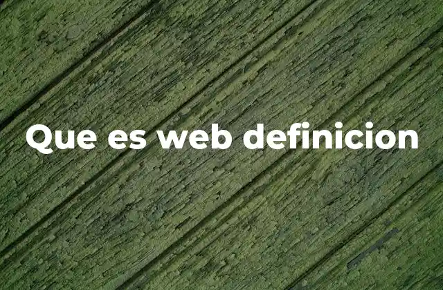 Que es Web Definicion