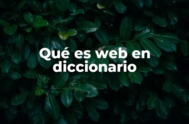 Qué es Web en Diccionario