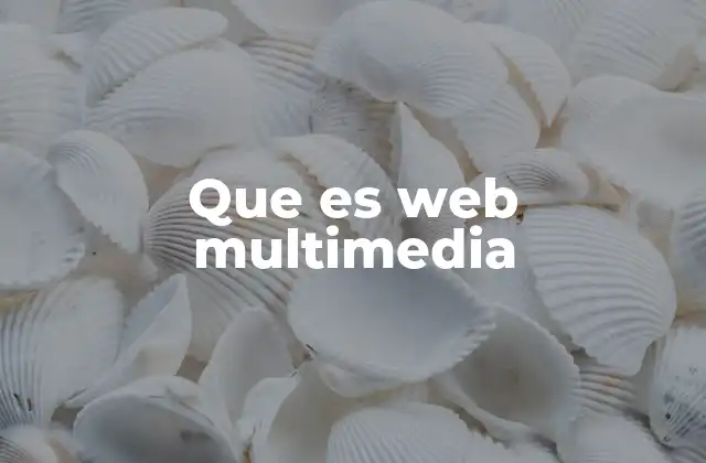 Que es Web Multimedia
