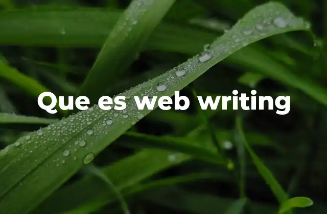 Que es Web Writing