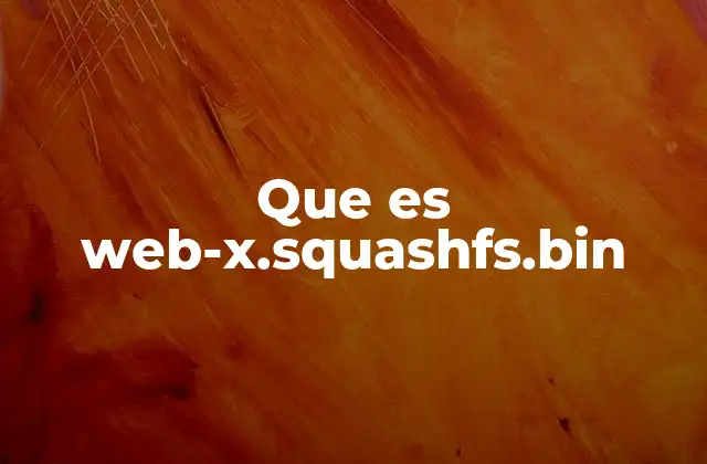 Que es Web-x.squashfs.bin