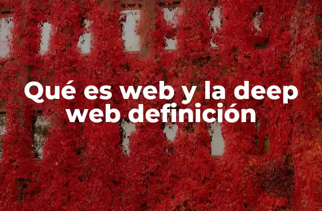 Qué es Web y la Deep Web Definición