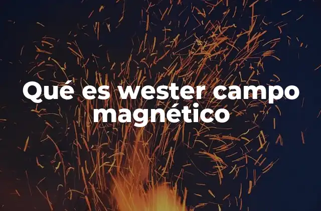 Qué es Wester Campo Magnético 2 El magnetismo como fenómeno natural y artificial