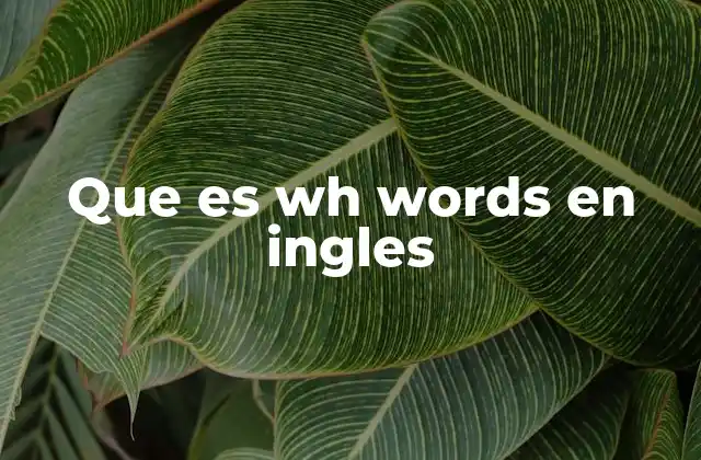Que es Wh Words en Ingles